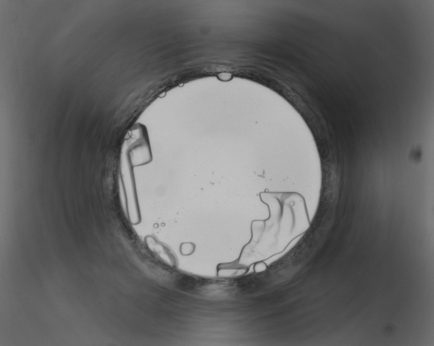 X0000115850505200912242040