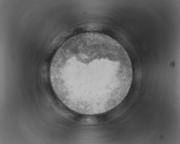 X0000115850506200912242040