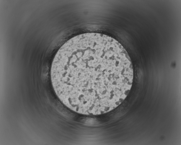 X0000115850507200912242040