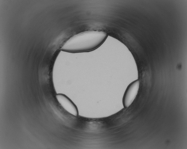 X0000115850508200912242040