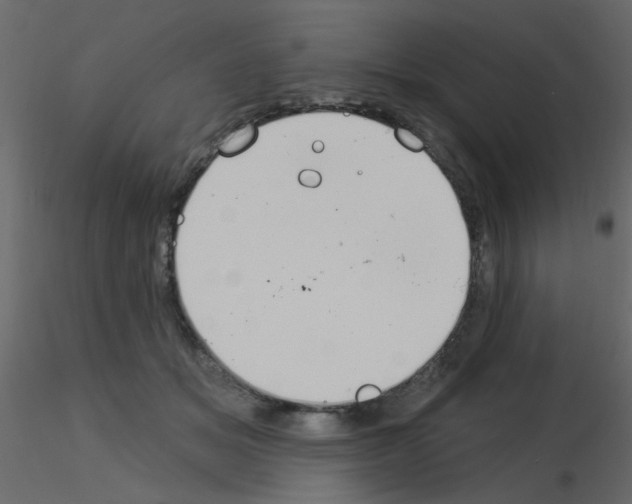 X0000115850509200912242040