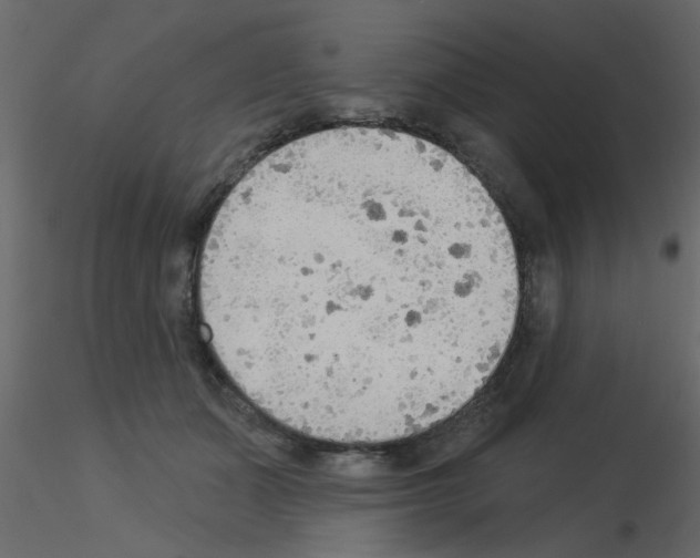 X0000115850511200912242040