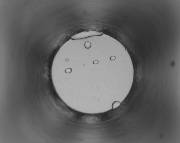 X0000115850512200912242040
