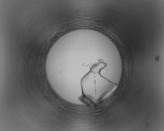 X0000115850513200912242040
