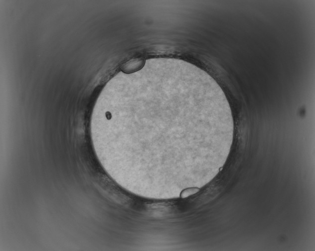 X0000115850516200912242040