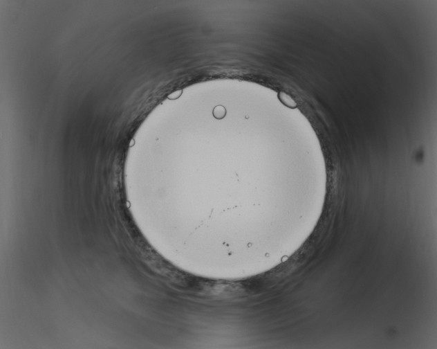 X0000115850517200912242040