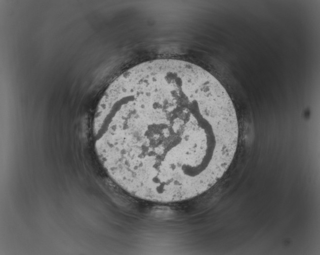 X0000115850519200912242040