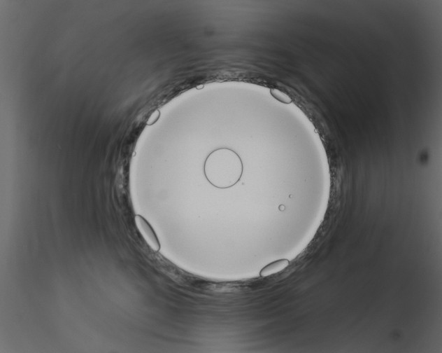X0000115850520200912242040