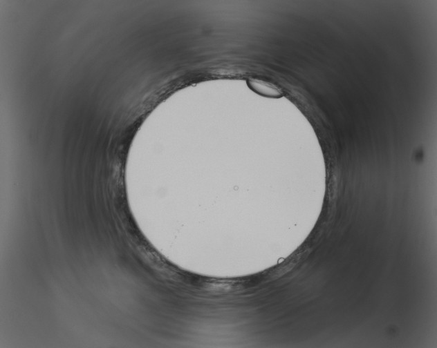 X0000115850521200912242040
