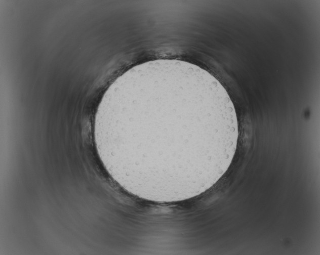 X0000115850523200912242040