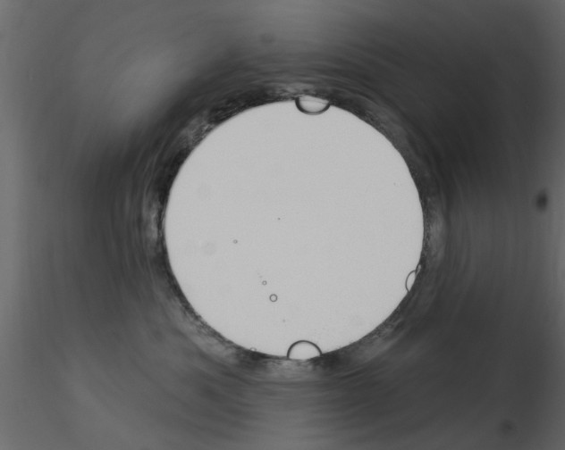 X0000115850525200912242040