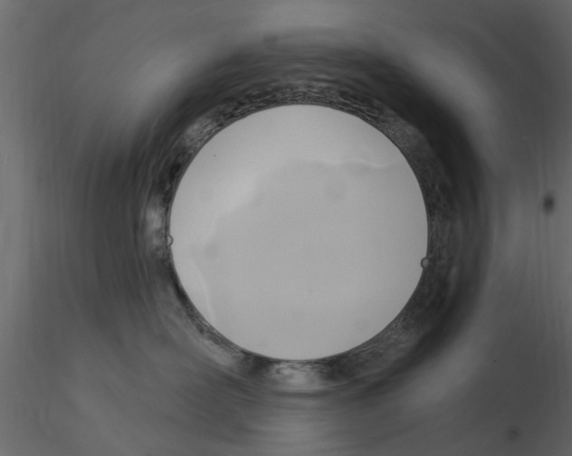 X0000115850526200912242040