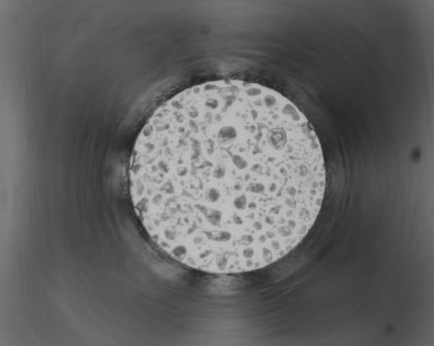 X0000115850527200912242040