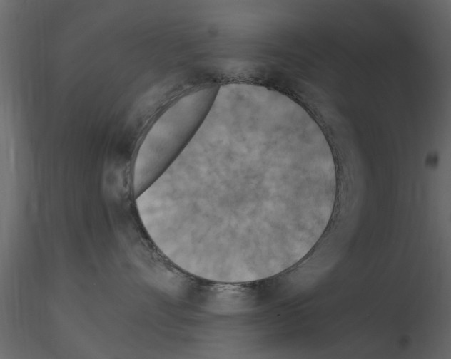 X0000115850528200912242040