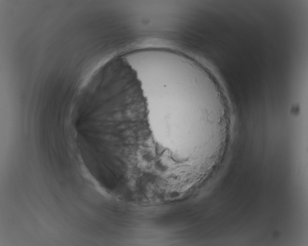 X0000115850529200912242039