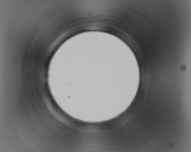 X0000115850530200912242039
