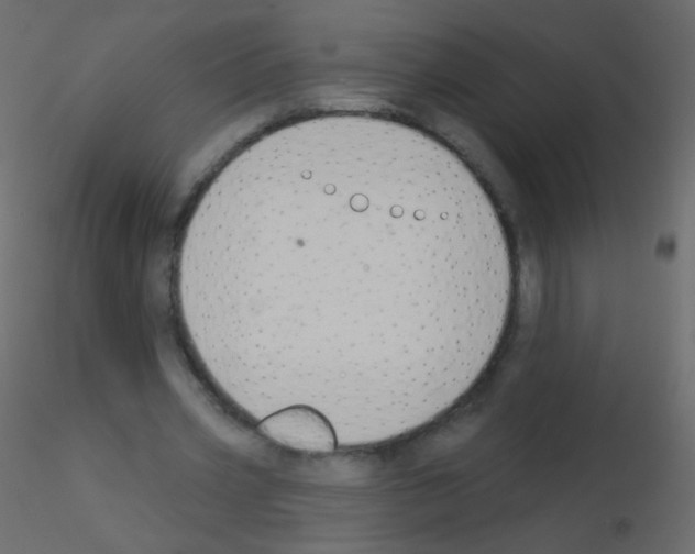 X0000115850533200912242039