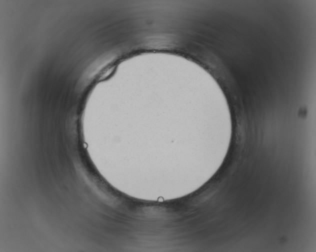 X0000115850535200912242040