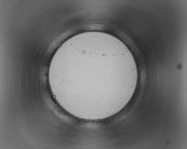 X0000115850537200912242040