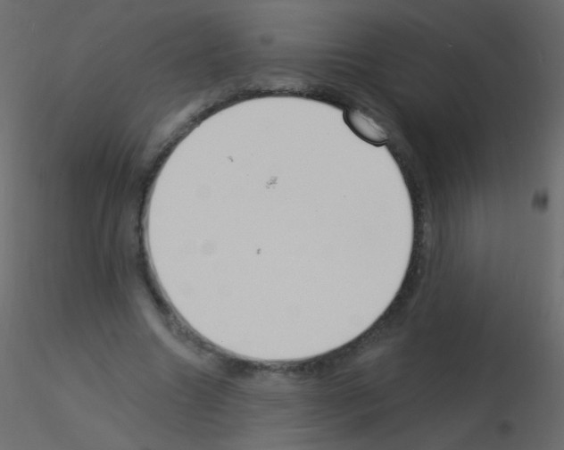 X0000115850538200912242040