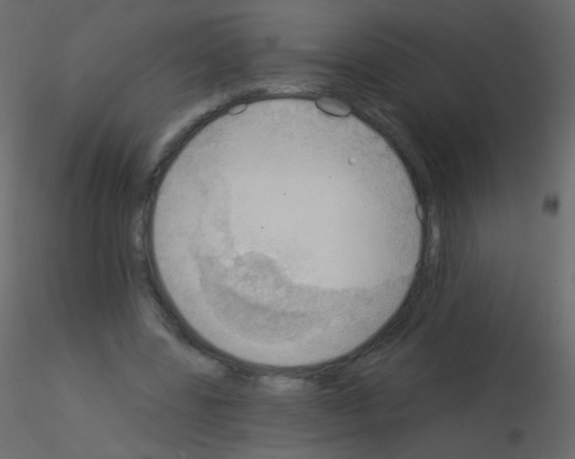 X0000115850539200912242040