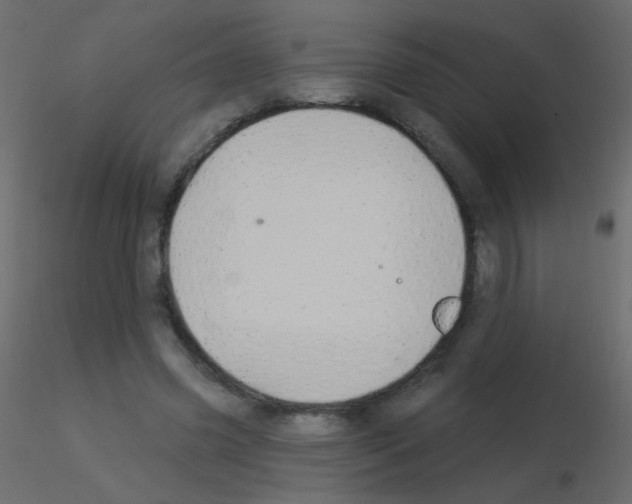 X0000115850541200912242040