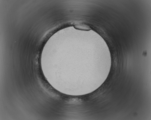 X0000115850543200912242040