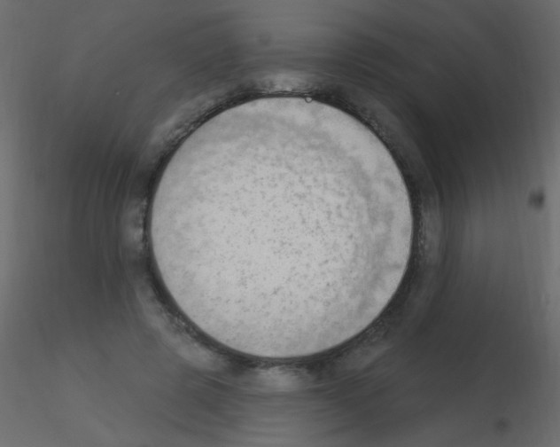 X0000115850545200912242040