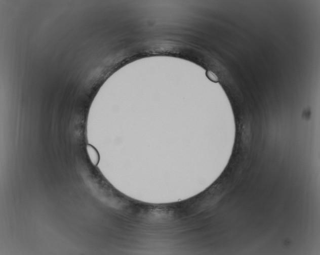 X0000115850546200912242040