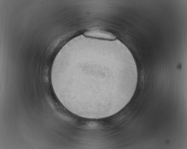X0000115850547200912242040