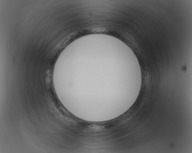 X0000115850549200912242040