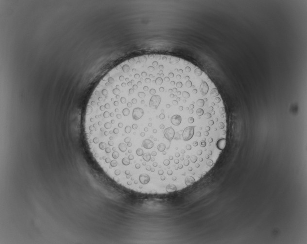 X0000115850550200912242040