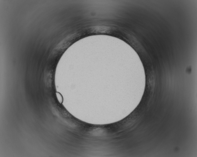 X0000115850551200912242040