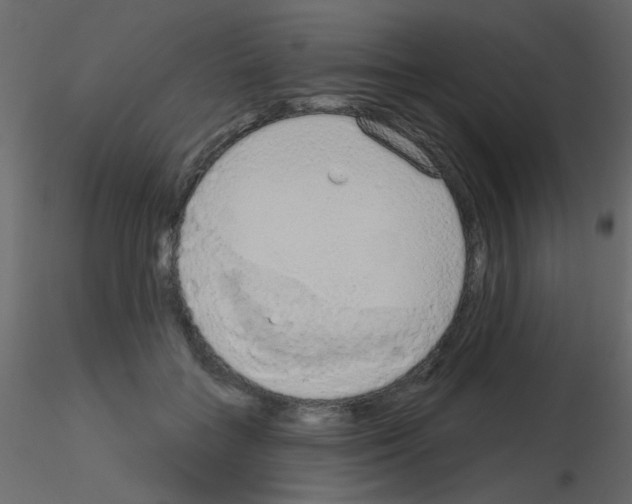 X0000115850555200912242040
