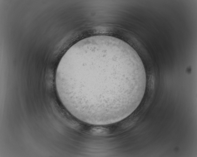 X0000115850557200912242040