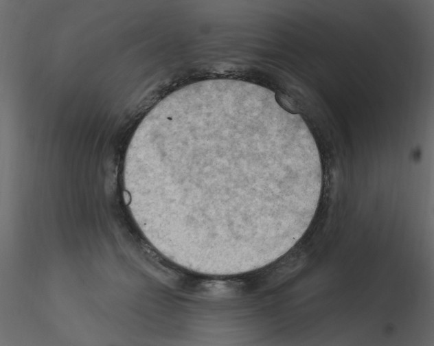 X0000115850558200912242040