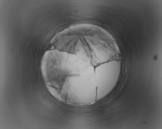 X0000115850561200912242040