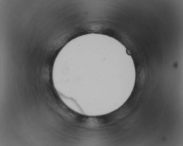 X0000115850562200912242040