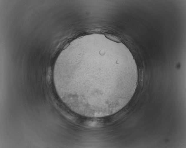 X0000115850563200912242040