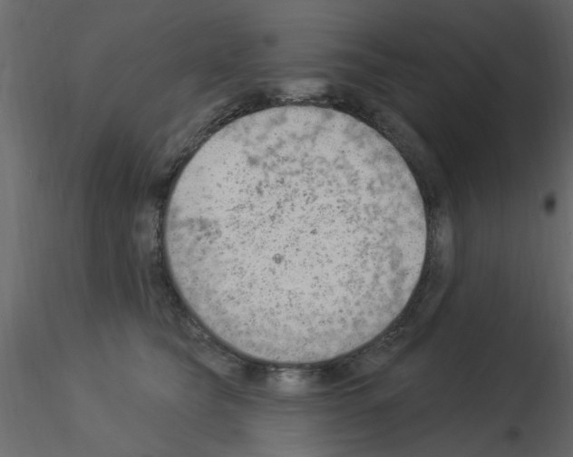 X0000115850565200912242040