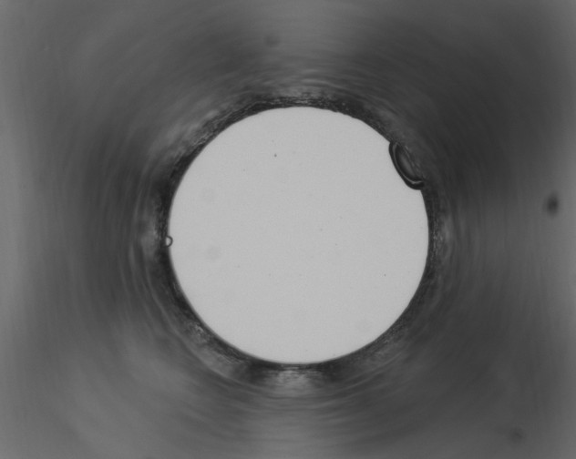 X0000115850566200912242040