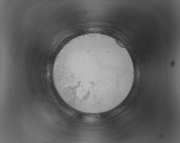 X0000115850567200912242040
