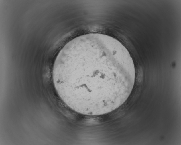 X0000115850569200912242040