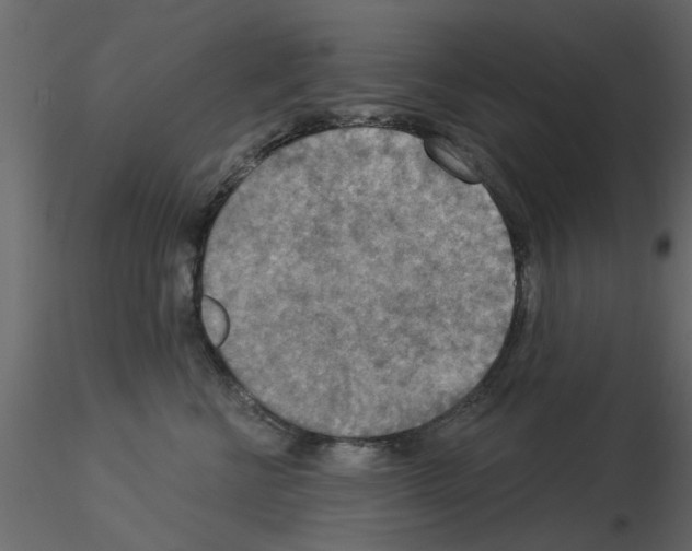 X0000115850570200912242040