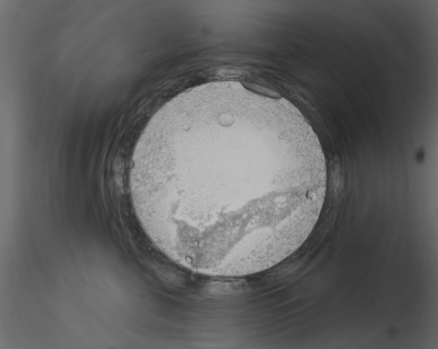 X0000115850571200912242040