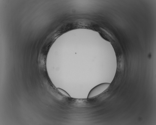 X0000115850573200912242040