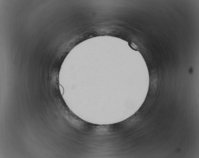 X0000115850574200912242040