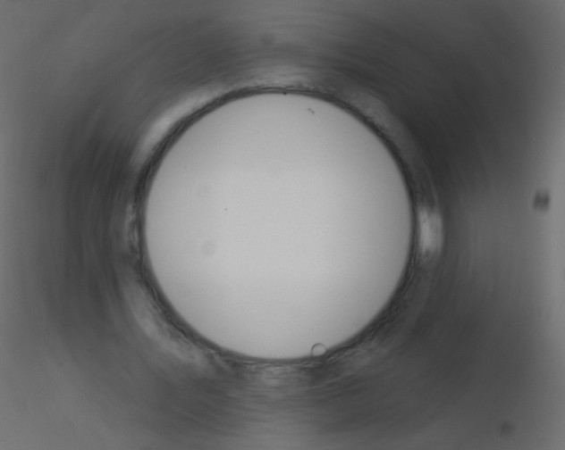 X0000115850579200912242039