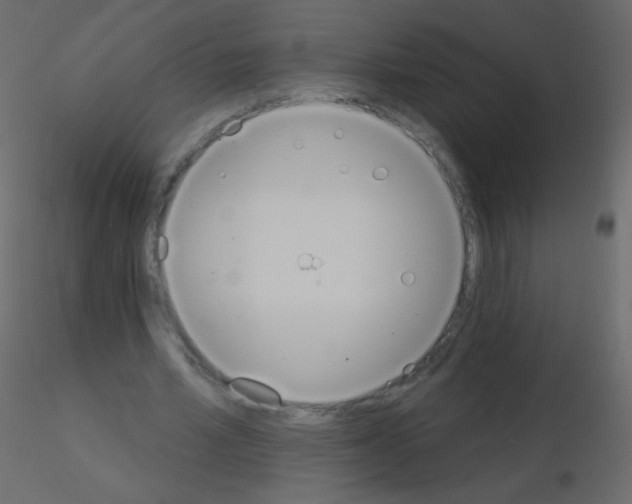X0000115850581200912242039