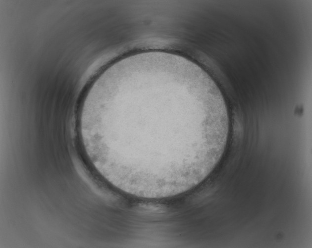 X0000115850582200912242039